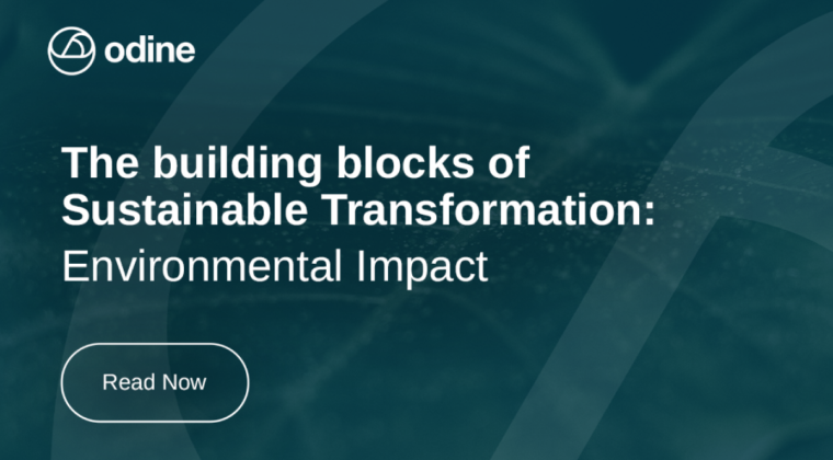 The building blocks of Sustainable Transformation: Environmental Impact